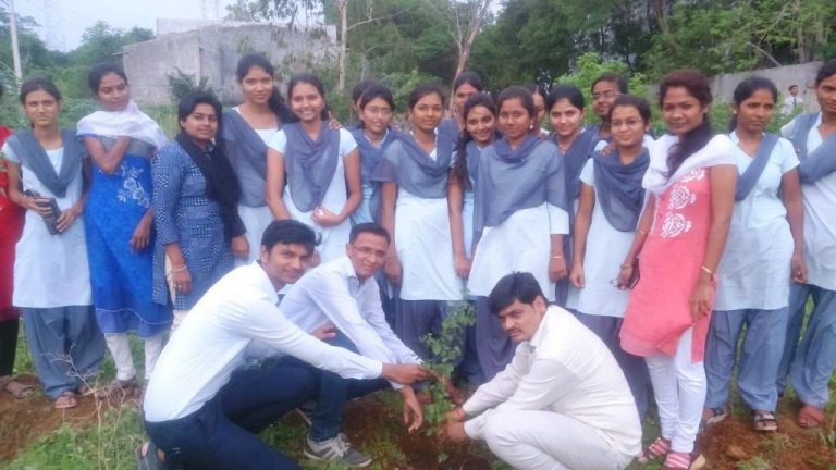 plantation-1024x576